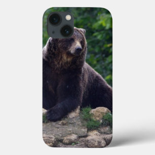 Brown bear iPhone 13 case