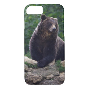 Brown bear Case-Mate iPhone case