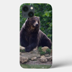 Brown bear iPhone 13 case