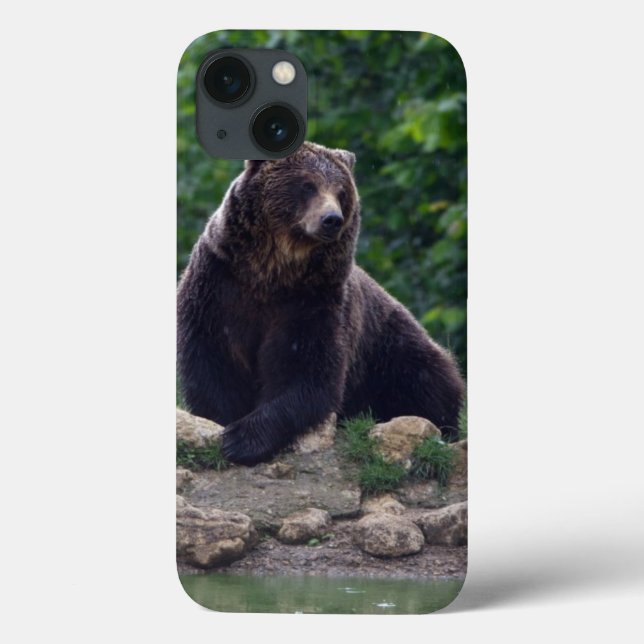 Brown bear Case-Mate iPhone case (Back)