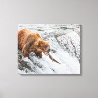 Brown Bear Catches Red Salmon