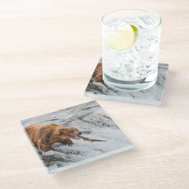 Brown Bear Catches Red Salmon Glass Coaster (Angled)