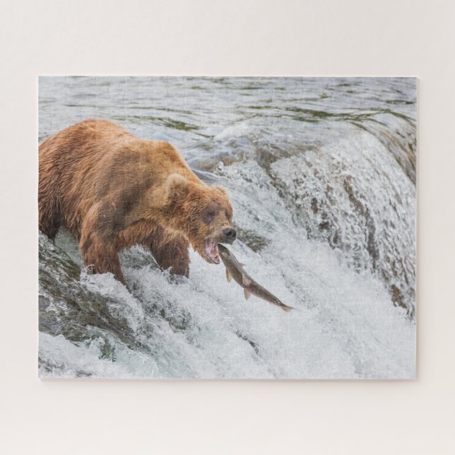Brown Bear Catches Red Salmon Jigsaw Puzzle (Horizontal)