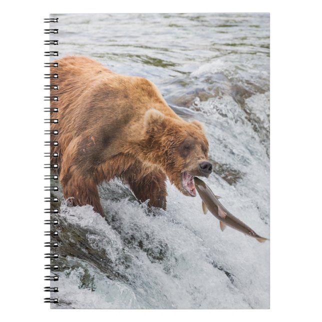 Brown Bear Catches Red Salmon Notebook (Front)