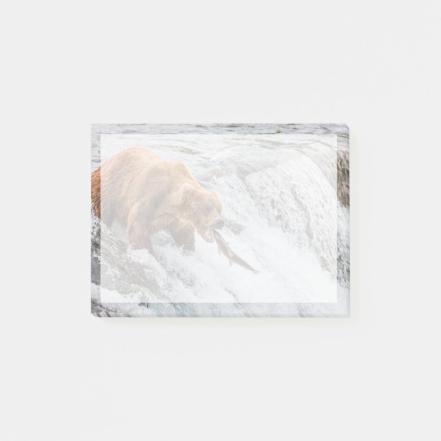 Brown Bear Catches Red Salmon Post-it Notes (Front)