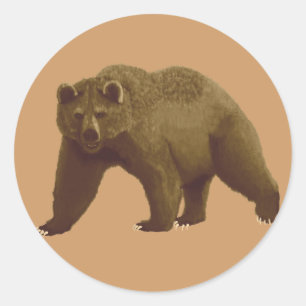 Brown Bear Classic Round Sticker