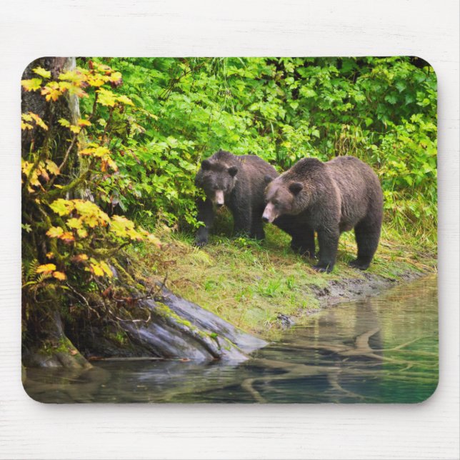 Brown Bear & Cub | Hyder, Alaska Mouse Pad (Front)