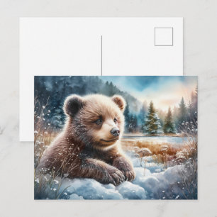 Brown Bear Cub in Winter Snow and Pine Trees Postcard