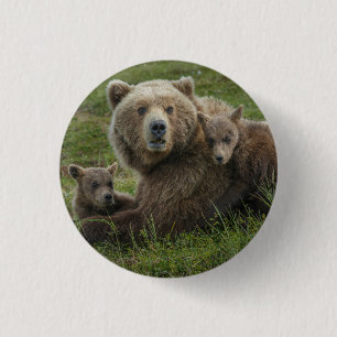 Brown Bear Cubs Cuddling with their Mother 3 Cm Round Badge