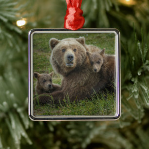 Brown Bear Cubs Cuddling with their Mother Metal Tree Decoration
