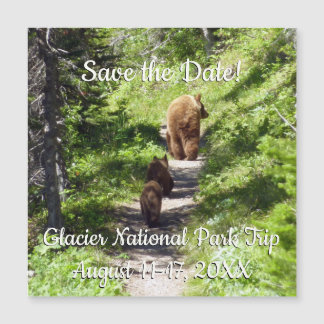 Brown Bear Family