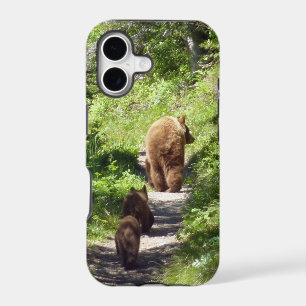 Brown Bear Family