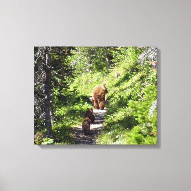 Brown Bear Family Canvas Print (Front)