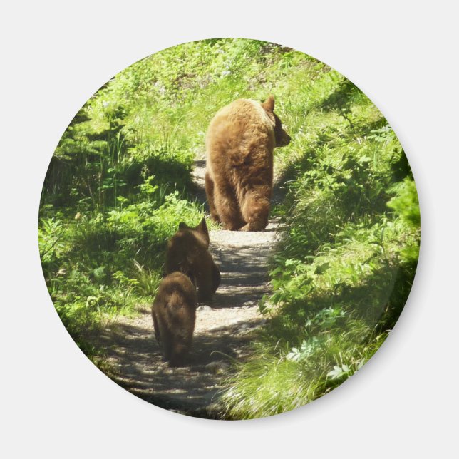 Brown Bear Family Magnet (Front)