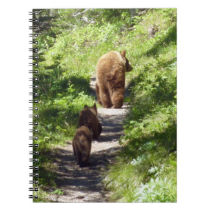 Brown Bear Family Notebook