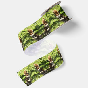 Brown Bear Family Satin Ribbon