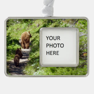 Brown Bear Family Silver Plated Framed Ornament