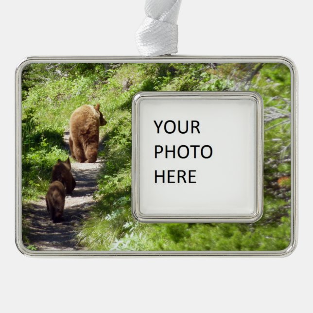 Brown Bear Family Silver Plated Framed Ornament (Front)