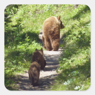 Brown Bear Family Square Sticker