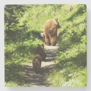 Brown Bear Family Stone Coaster