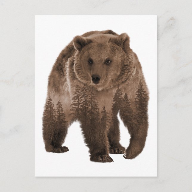 Brown Bear Forest Double Exposure Postcard (Front)