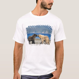 Brown bear, grizzly bear, play on the beach, T-Shirt