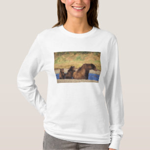 Brown bear, grizzly bear, sow with cubs, T-Shirt