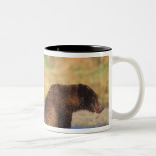 Brown bear, grizzly bear, sow with cubs, Two-Tone coffee mug