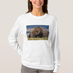 Brown bear, grizzly bear, taking a nap, Katmai T-Shirt