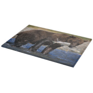 Brown bear, grizzly bear, with salmon catch, cutting board