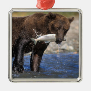 Brown bear, grizzly bear, with salmon catch, metal tree decoration