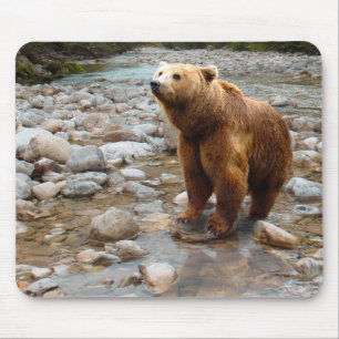 Brown Bear in Stream Mouse Pad