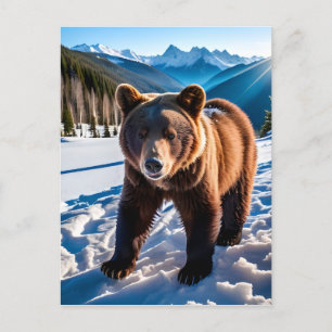 Brown Bear in the Snow Postcard