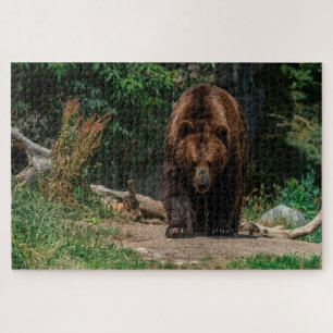 Brown Bear  Jigsaw Puzzle