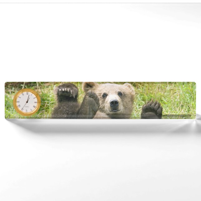 Brown Bear Kodiak Cub Gifts Nameplate (Front)