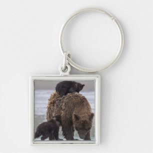 Brown Bear   Lake Clark National Park Key Ring