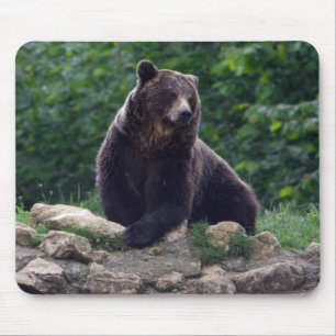 Brown bear mouse pad