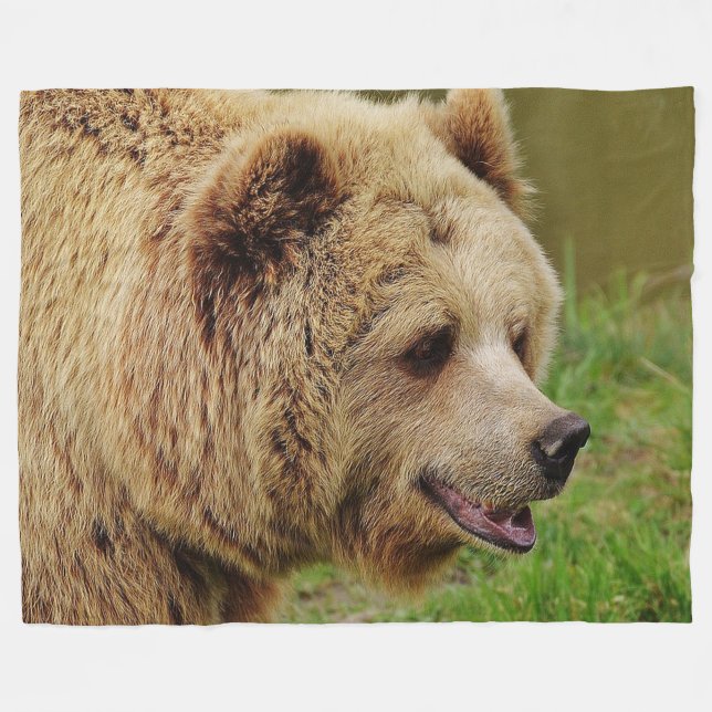 Brown Bear on Fleece Blanket (Front (Horizontal))