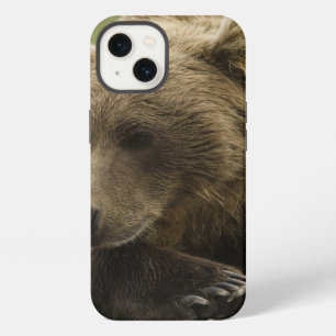 Brown bear, or Coastal Grizzly Bear, Ursus iPhone 13 Case
