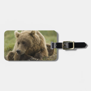 Brown bear, or Coastal Grizzly Bear, Ursus Luggage Tag