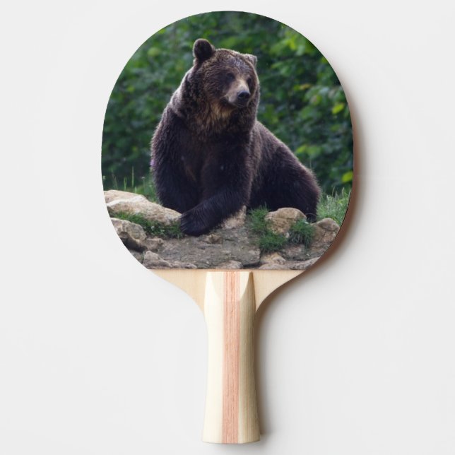 Brown bear ping pong paddle (Front)