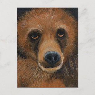 Brown Bear Postcard