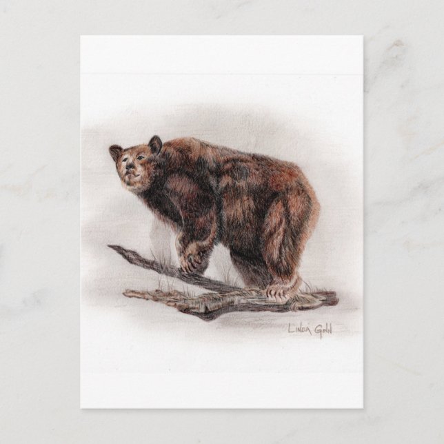 Brown Bear Postcard (Front)