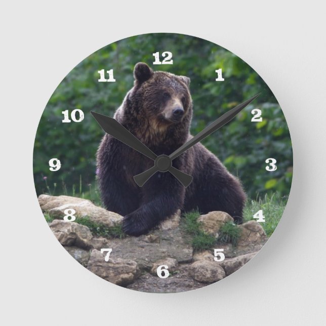 Brown bear round clock (Front)
