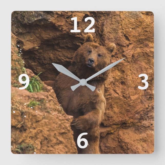Brown Bear Square Wall Clock (Front)