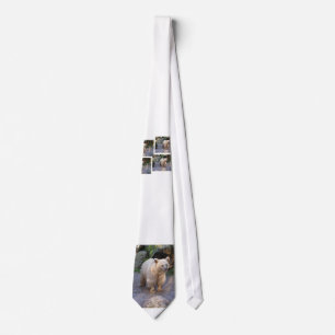 brown bear tie