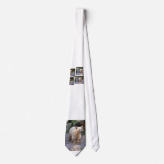 brown bear tie