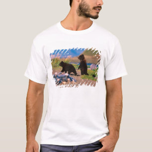 Brown Bear, Ursus arctos, Alaska Peninsula, T-Shirt
