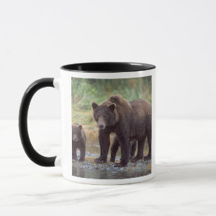 brown bear, Ursus arctos, grizzly bear, Ursus 3 Mug