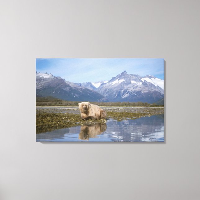 brown bear, Ursus arctos, grizzly bear, Ursus 4 Canvas Print (Front)